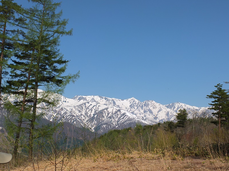 写真：からまつとはくば