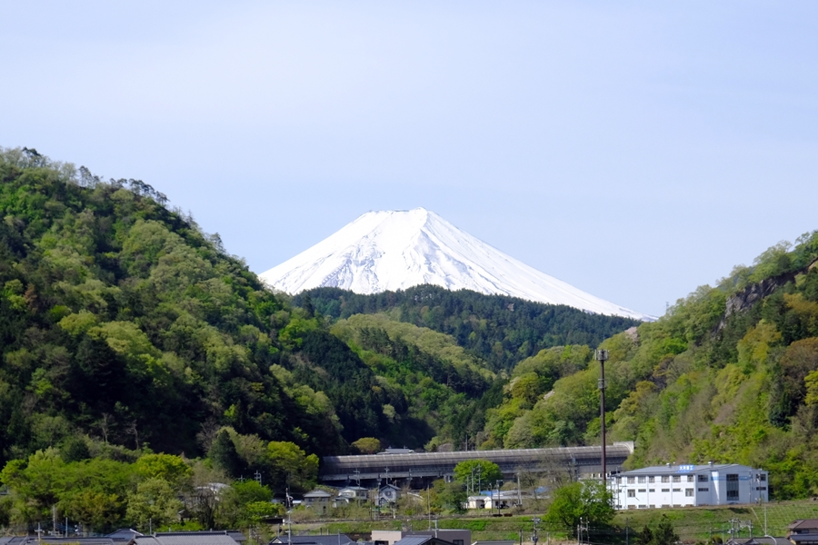 富士山