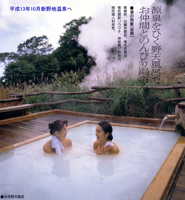 新野地温泉パンフより