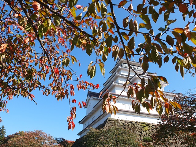 桜の紅葉越しに鶴ヶ城